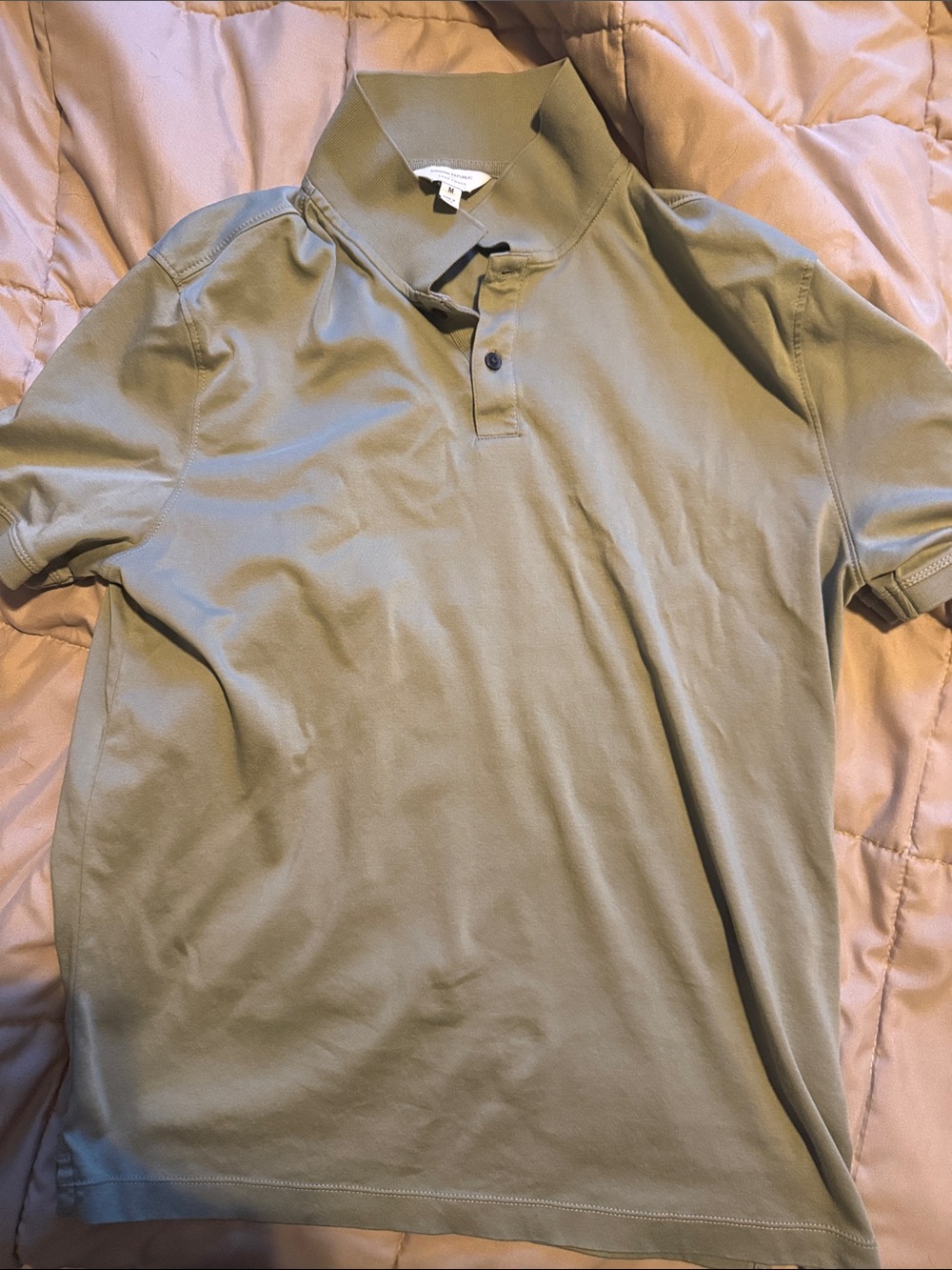Banana Republic Men's Polo in Sage Green